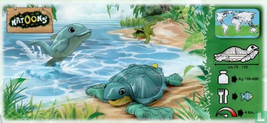 Meeresschildkröte - Bild 2