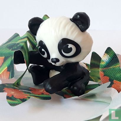 panda - Image 1