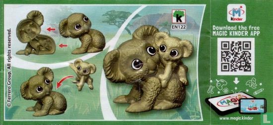 Koala - Bild 3