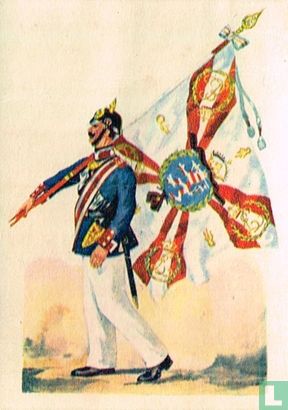 Fahne vom 5. Großherzogl. Hess. Infanterie-Regt. Nr. 168 - Afbeelding 1