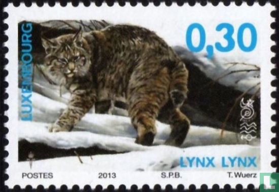 Lynx eurasien