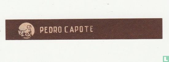 Pedro Capote - Bild 1