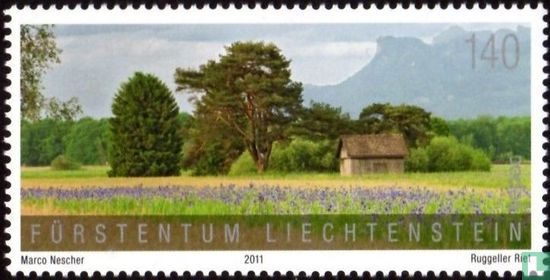 Liechtensteiner Unterland