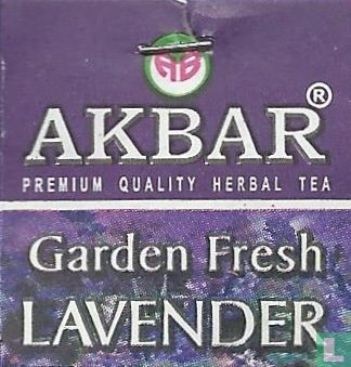 Lavender - Image 3
