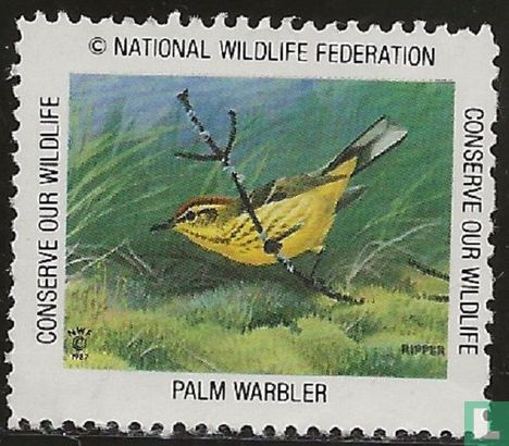 Palm Warbler (Palmzanger)