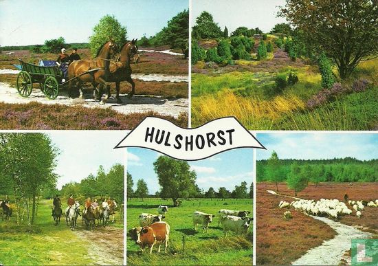 Hulshorst