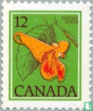 Kanadisches Springkraut 