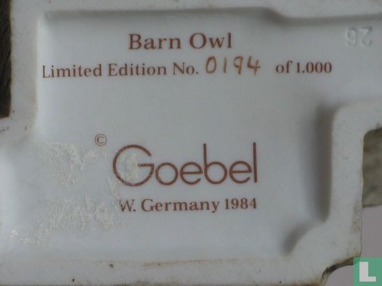 Barn Owl - Image 2