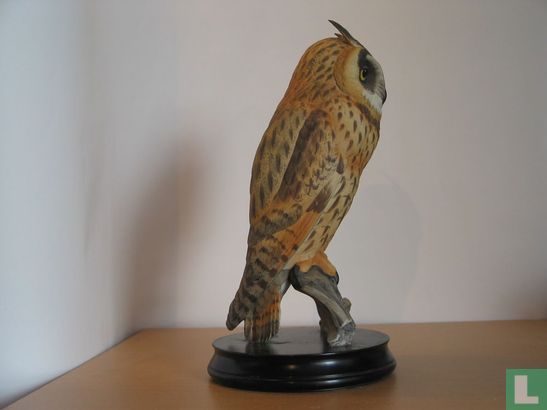 Long-eared Owl - Image 3