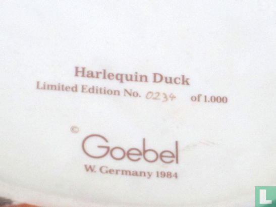 Harlequin Duck - Image 2