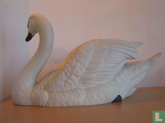 Mute Swan - Image 3