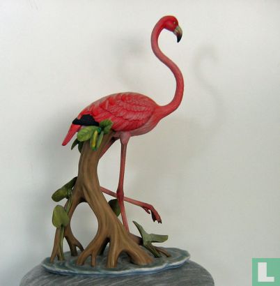 Flamingo - Afbeelding 3
