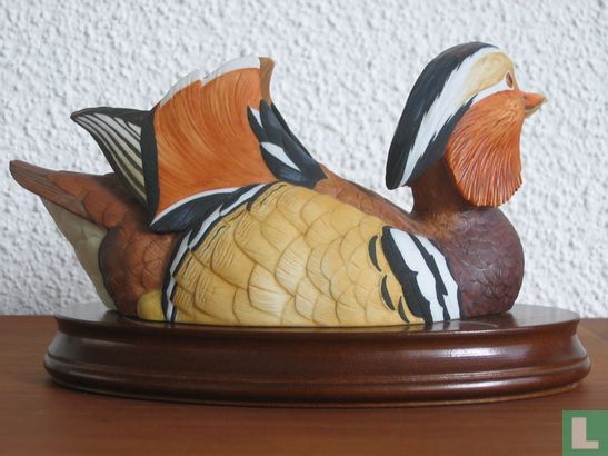 Mandarin Duck - Image 3