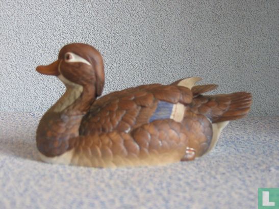 Wood Duck (female) - Image 3