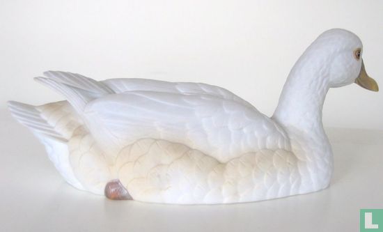 Peking Duck (female)  - Image 3