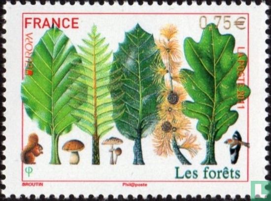 Europa – Forests 