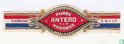 Puros Antero Habanos - Habana - C.G. y Ca. - Image 1