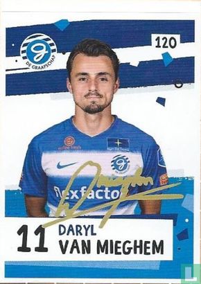 Daryl van Mieghem - Image 1