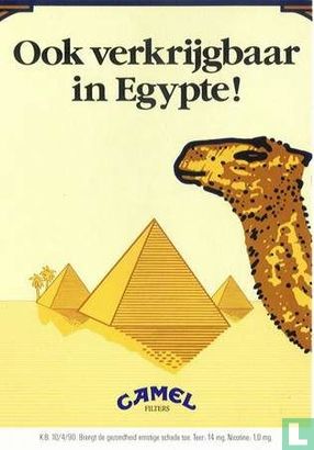 0029b - Camel "Ook verkrijgbaar in Egypte"