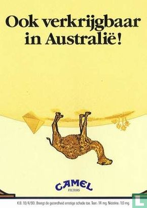 0030b - Camel "Ook verkrijgbaar in Australïe"