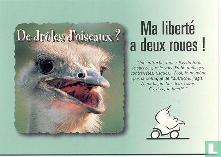 0757a - MotorCycle Council "De drôles d'oiseaux?"