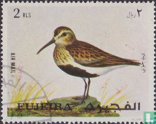 Oiseaux   