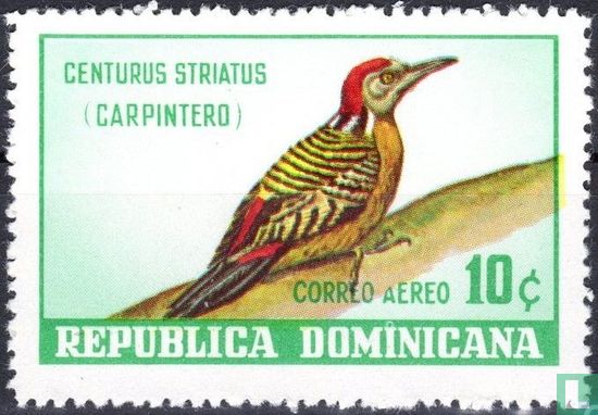 Dominican birds