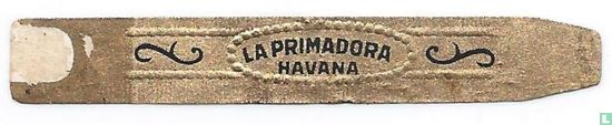 La Primadora Havana - Afbeelding 1