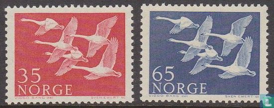 North-Swans
