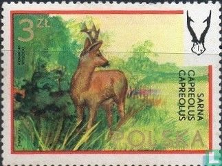 50th. der polnischen Hunting Assoc