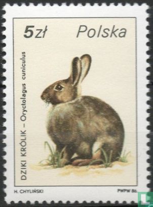 Wildlife