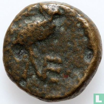 Neonteichos, Aeolis  AE11  200-100 BCE - Image 1