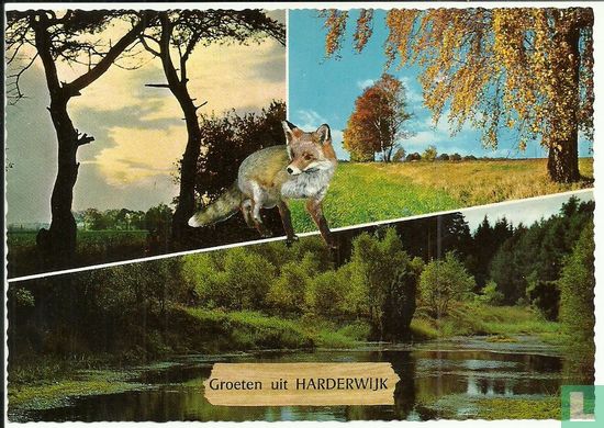 Groeten uit Harderwijk - Image 1