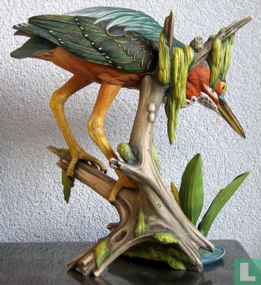 Green Heron - Image 3