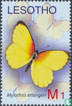 Papillons       