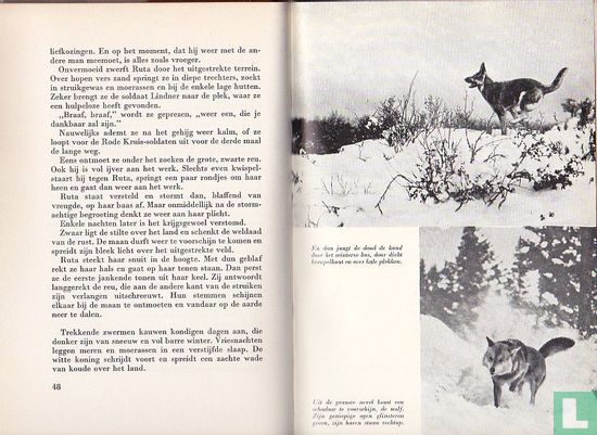 Ruta de hond - Image 3