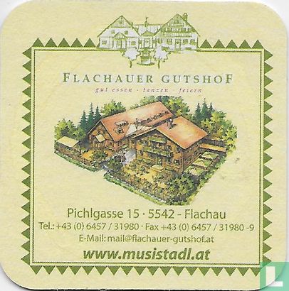 Flachauer Gutshof - Afbeelding 1