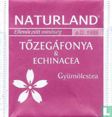 Tözegáfonya & Echinacea - Image 1