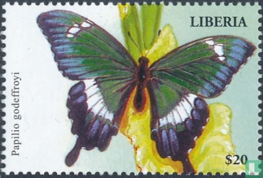Butterflies