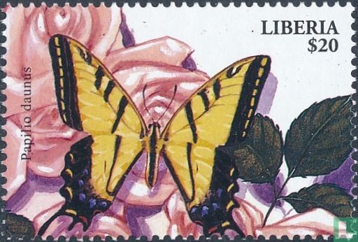 Butterflies 