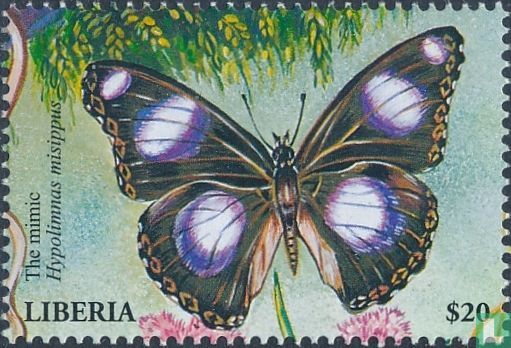 Butterflies     
