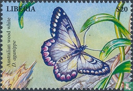 Butterflies  