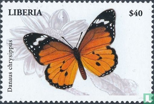Butterflies   