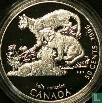Canada 50 cents 1996 (PROOF) "Cougar kittens" - Image 1