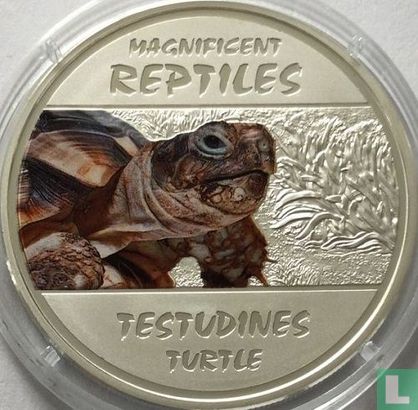 Kongo-Kinshasa 30 Franc 2013 (PP) "Magnificent reptiles - Turtle" - Bild 2