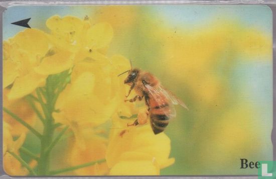 Bee - Bild 1