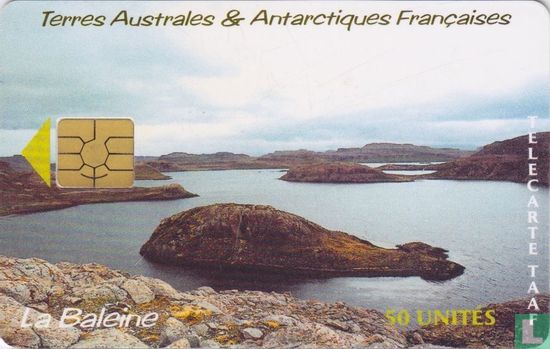 La Baleine - Afbeelding 1