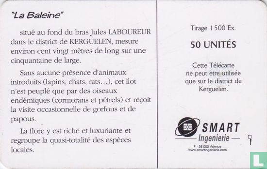 La Baleine - Afbeelding 2
