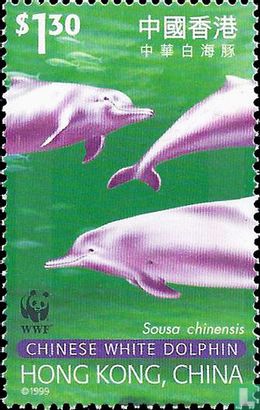 WWF - Dauphin blanc chinois
