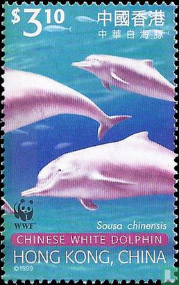 WWF - Chinese White Dolphin